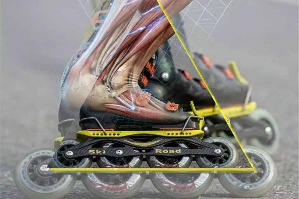 Detailbild zum Muskelgedächtnis mit dem Training von SkiRaod Skates zu jeder Jahreszeit.